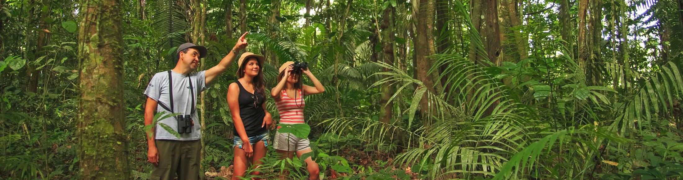 Reserva Tambopata, Puerto Maldonado  desde Guatemala