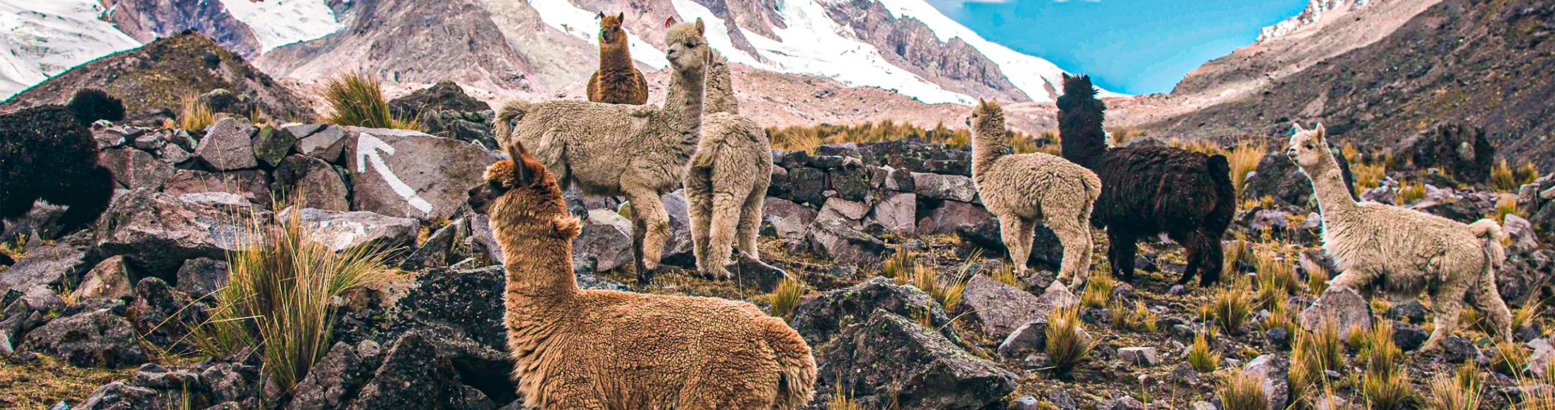 Machu Picchu 4D3N Viajero (Cultural Aventura Tendencia)  desde Guatemala