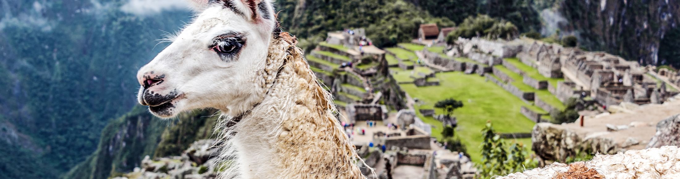 Machu Picchu 8D7N Viajero (Full Cultural)  desde Guatemala